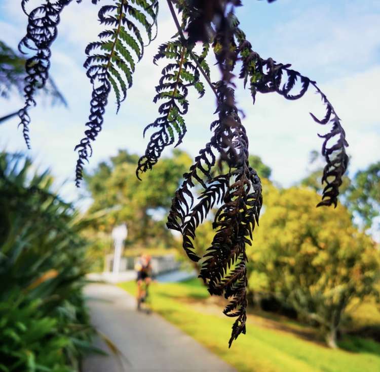 3/39 Lake Road Devonport_35