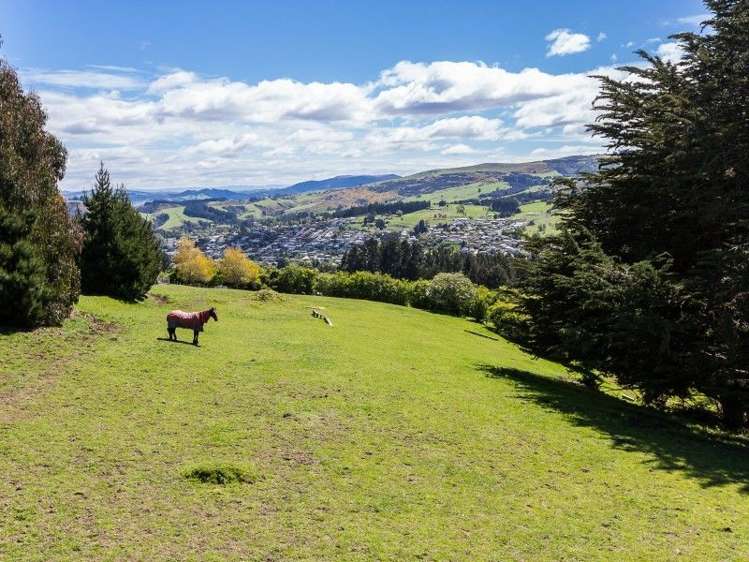 69 Church Hill Road Green Island_31