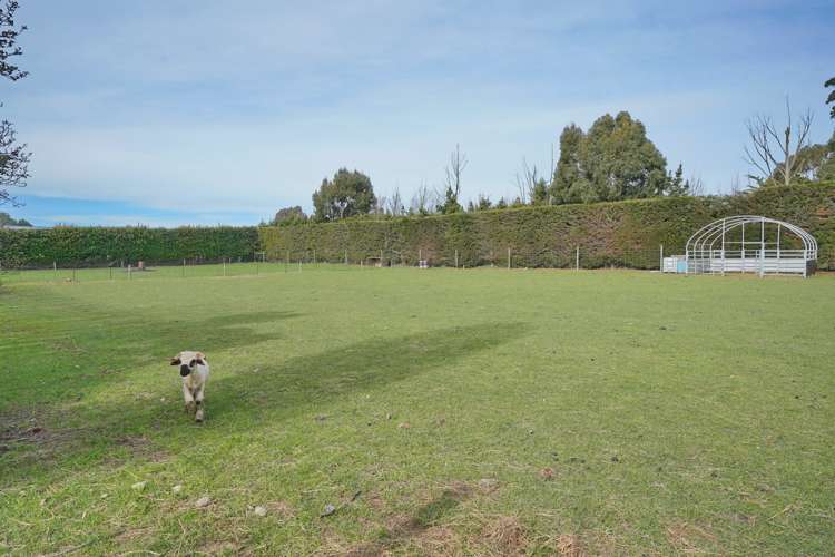 1352 Tramway Road Dunsandel_23