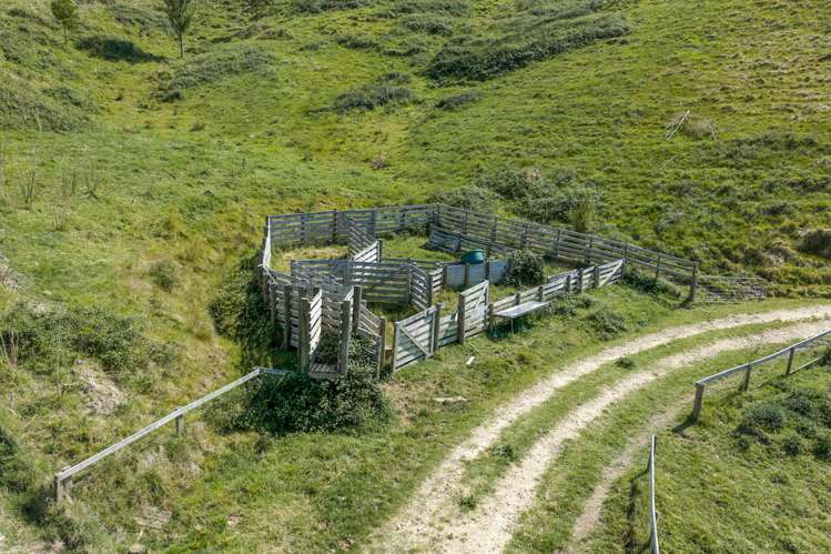 48 Avery Road Eskdale_29