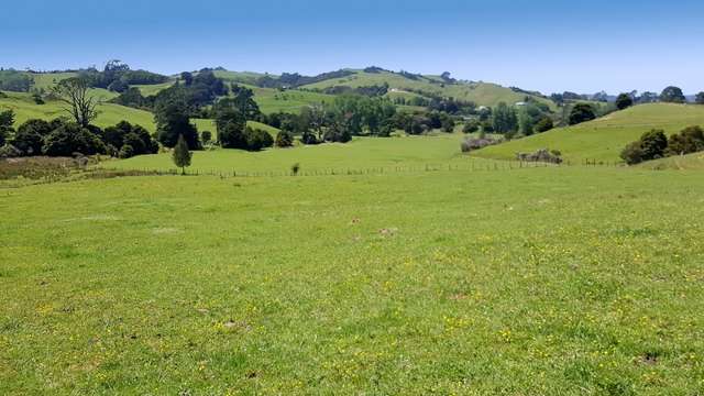 Matakana Valley Road Matakana_1