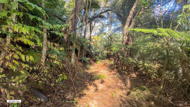 Leslie Road Putaruru_9