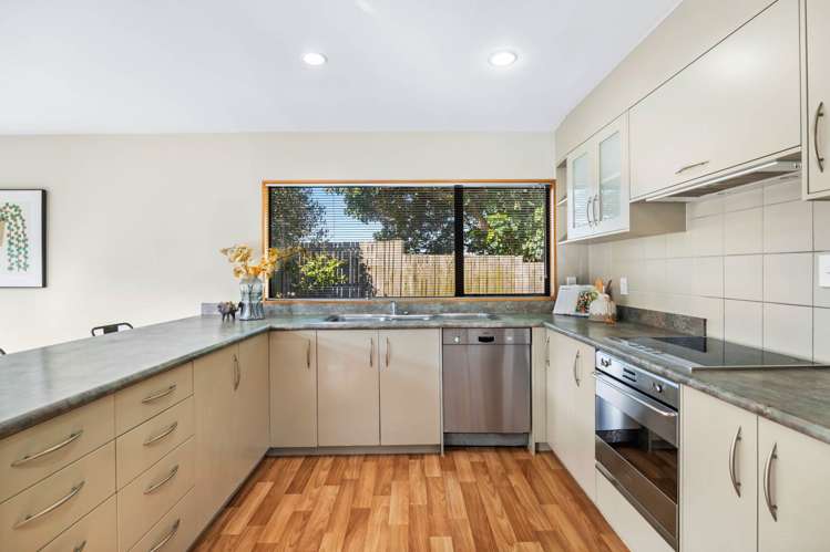 14A Albatross Road Red Beach_11