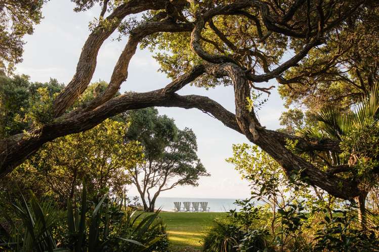 Andersons Cove Mangawhai_18