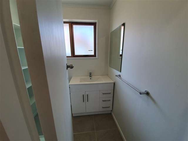  91 Pitt Street Palmerston North Central_4