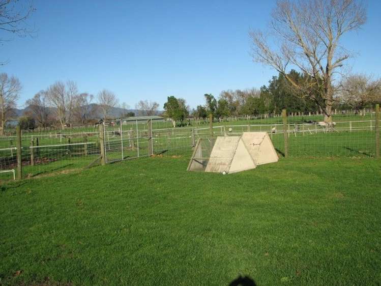 44 Racecourse Road Te Aroha_17