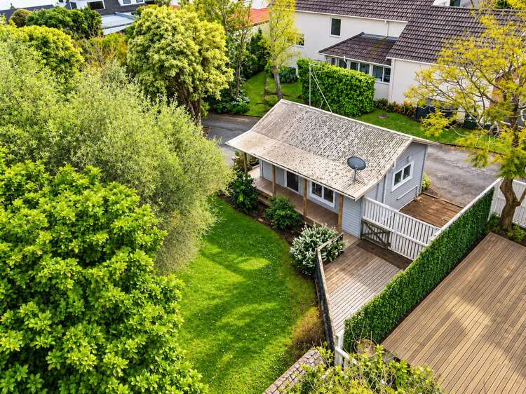 158 Pembroke Street Hamilton Lake_6