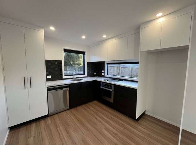 28 Sussex Street Levin_2