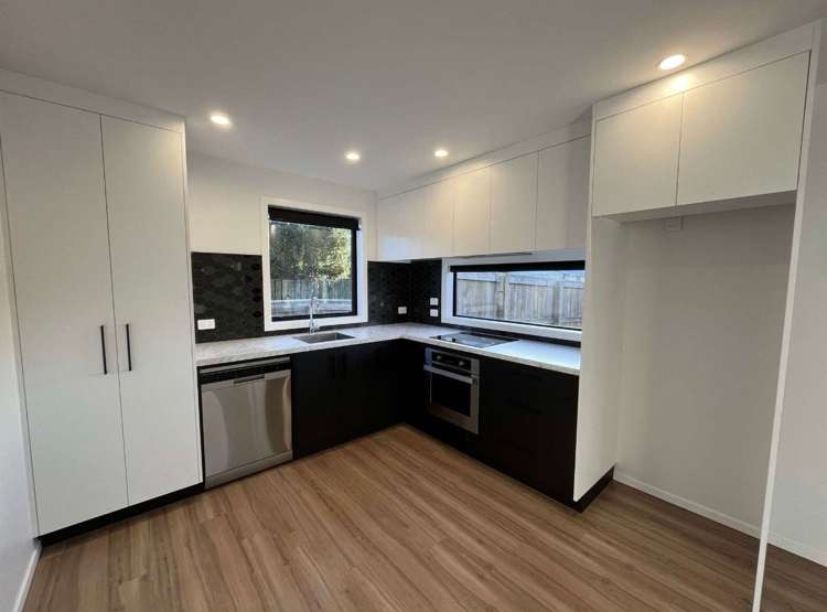 28 Sussex Street Levin_2