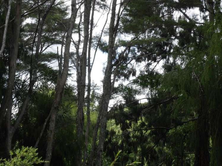 321a Quine Road Tahuna_17