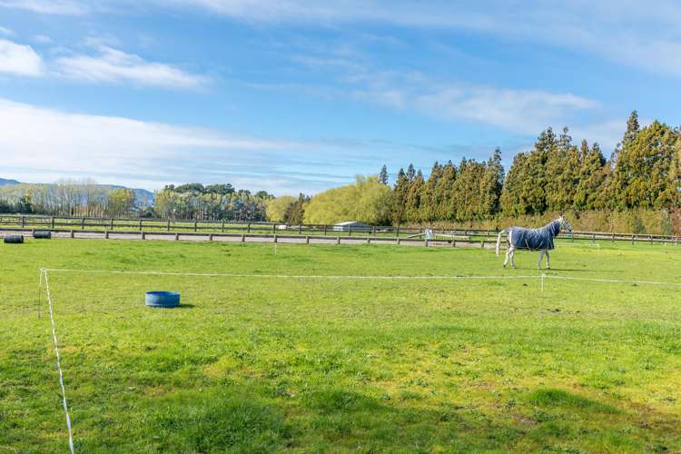 159 Banks Road Matamata_2