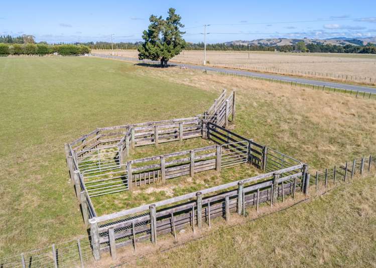 562 Paierau Road Opaki_20