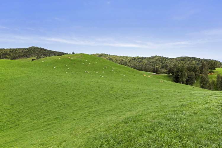 1061 Harbour Road Oparau_7