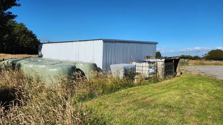 455 Surrey Road Tariki_6