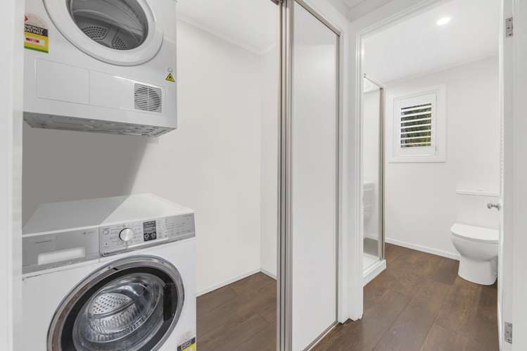 10 Avon Street Parnell_12