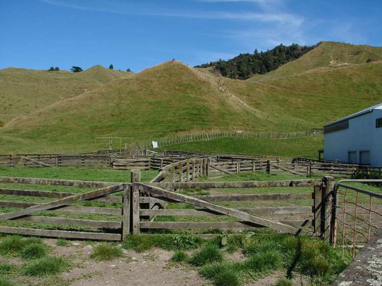 839 Ruatiti Road Raetihi_12