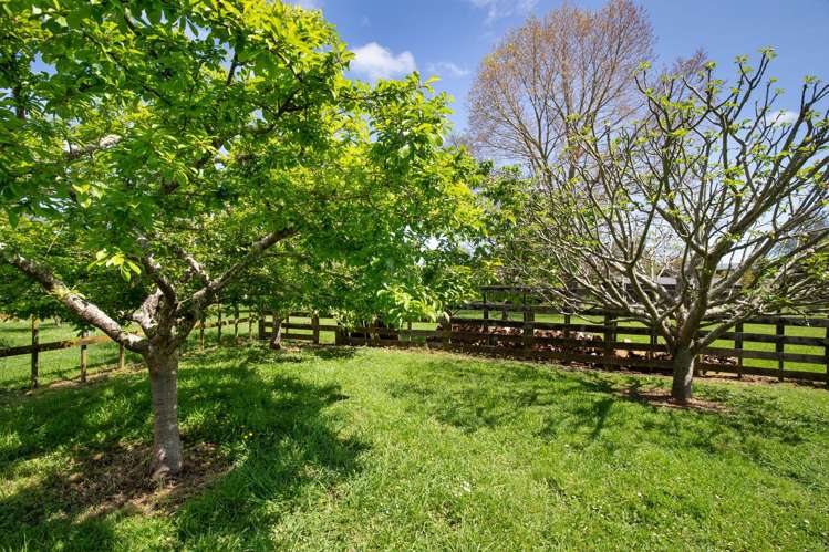 67 Papaitonga Lake Road Ohau_13