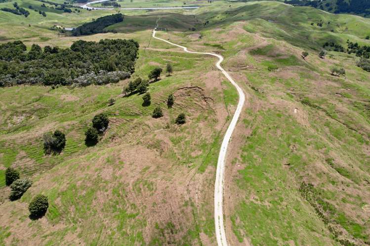 Pukehuia Road Arapohue_1