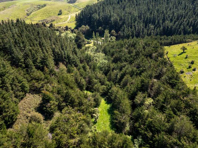 240 Sladdens Bush Road Coopers Creek_14