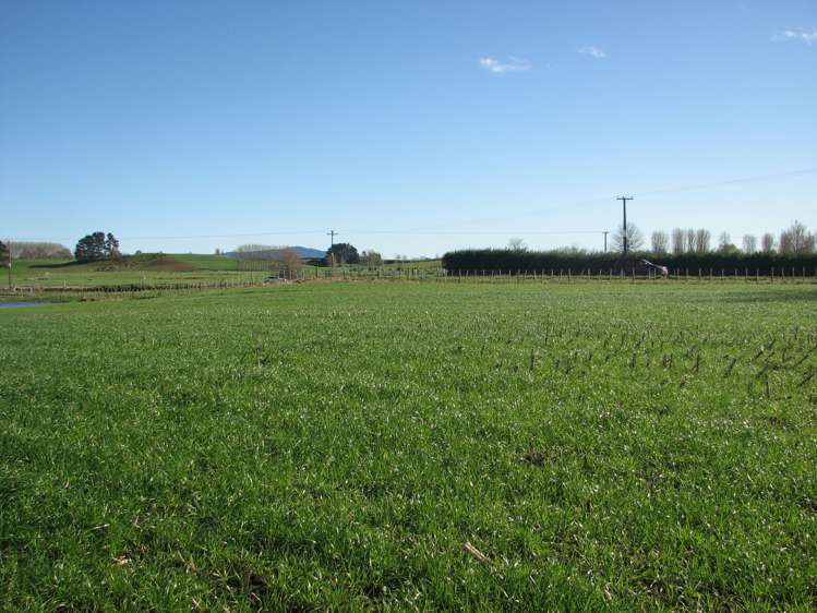 Smith Road Otorohanga_5