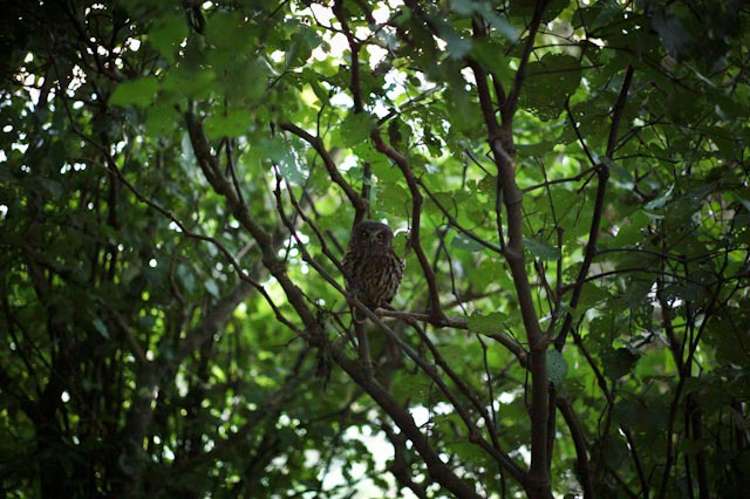 34 Fortification Road Karaka Bays_17