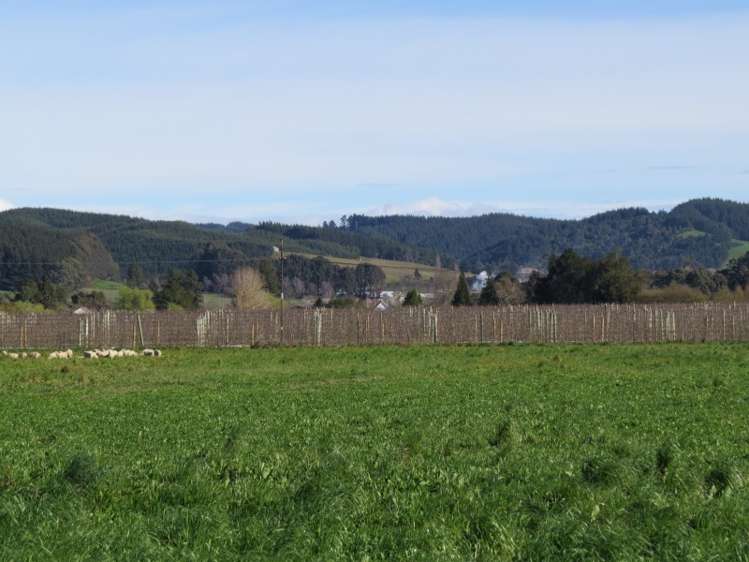 120 Palmer Road Brightwater_7