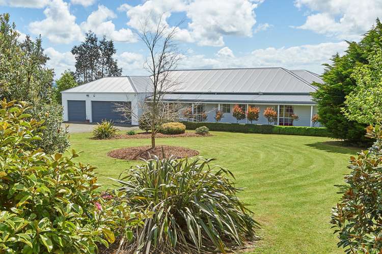 55 Polson Hill Drive Aokautere_4