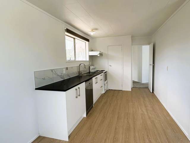 12 Birdwood Road Pukekohe_4