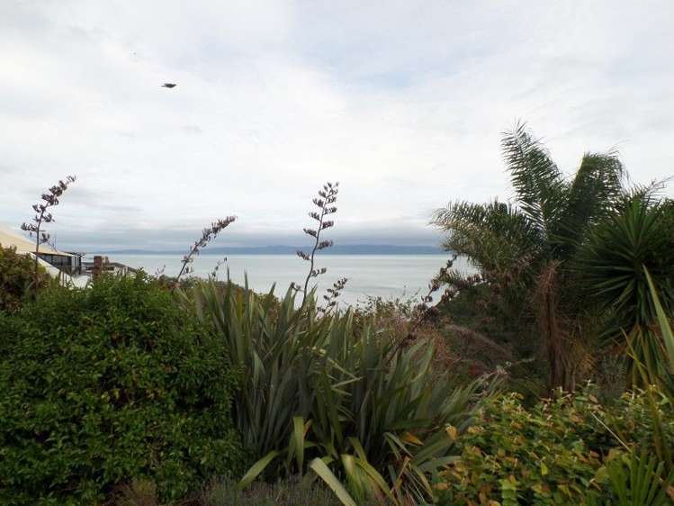 13 Eames Crescent Te Mata_18