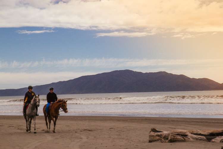 6 Paetawa Road Peka Peka_34