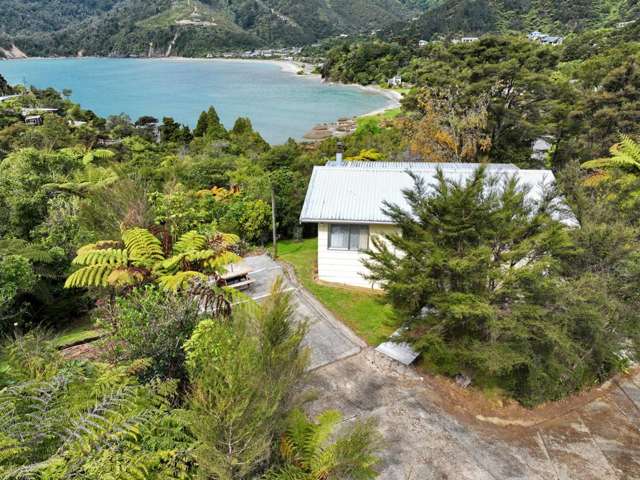 Great Family Bach with Native Bush and Sea Views