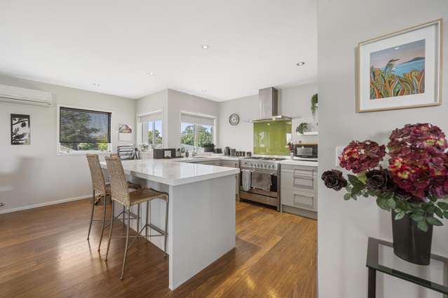 24A Alpers Terrace Marewa_2