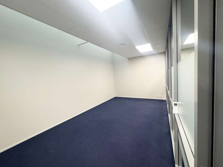 14 Harley Street Nelson_7