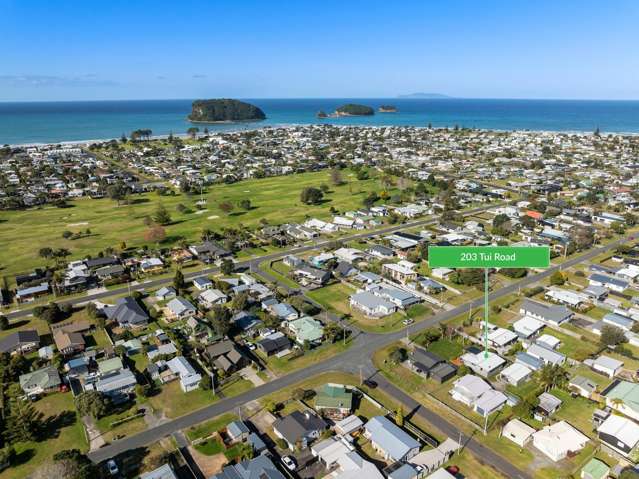 203 Tui Road Whangamata_2