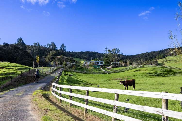 719 Waikare Road Kawakawa_29