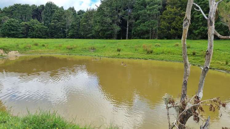 Taylor Road Mangapai and Surrounds_20