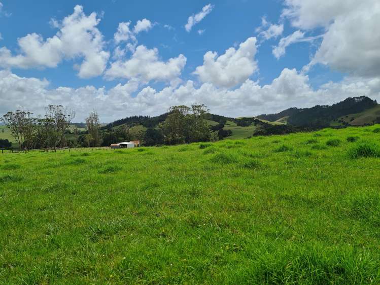 Millbrook Road Waipu_35
