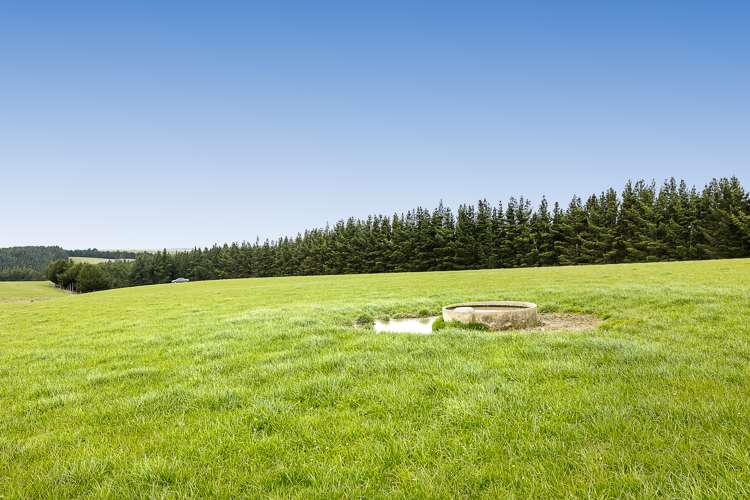 675 Black Bridge Road Clutha_2