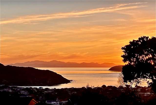 109a Gloaming Hill Titahi Bay_2
