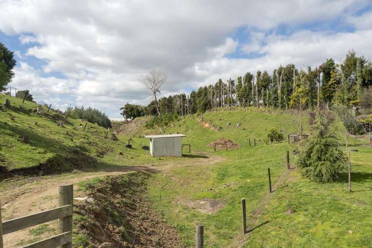 589 Rangiuru Road Te Puke_6