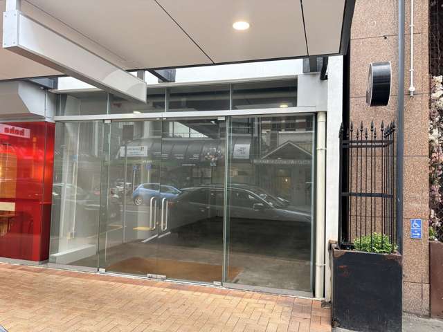Ground/119 Featherston Street Wellington Central_2