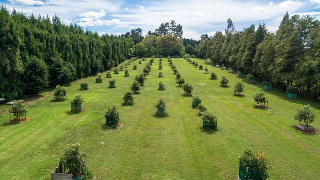 72 Rea Road Katikati_3