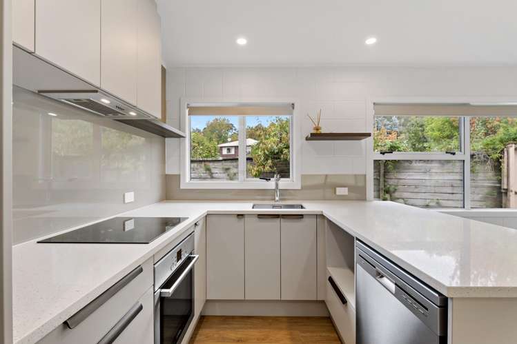 1/2 Flavia Close Torbay_7