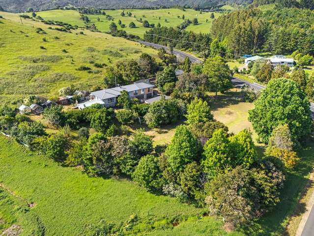 2926 SH25 Tairua Whitianga HWY Whitianga_2