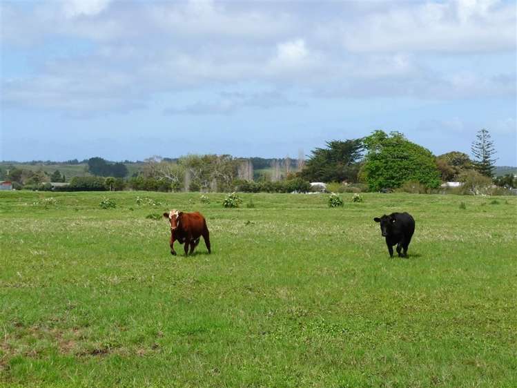 165a State Highway 1 Awanui_6