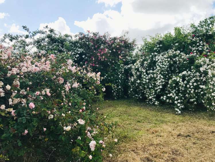 20 Rawalpindi Street Mount Albert_12