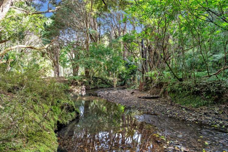 OWHIWA ROAD ONERAHI Onerahi_19