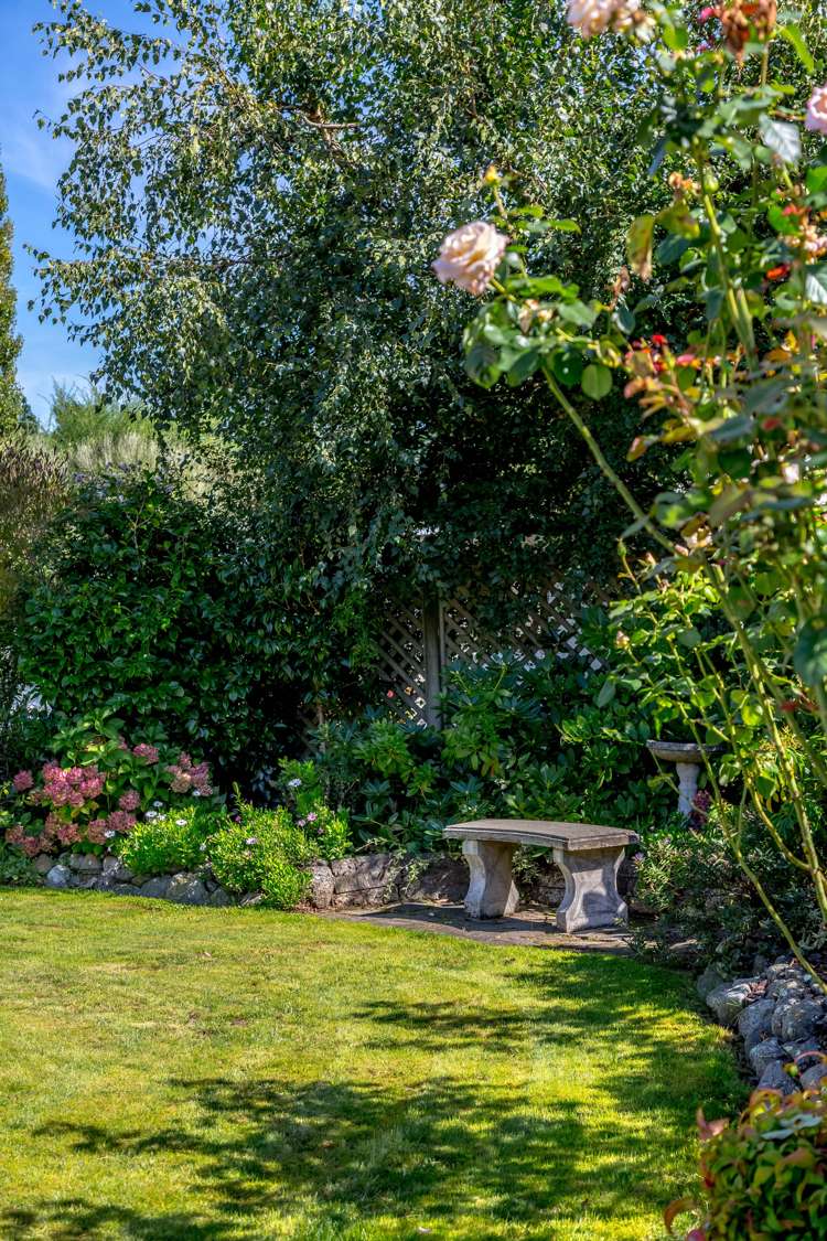 34b Mcmaster Street Greytown_23