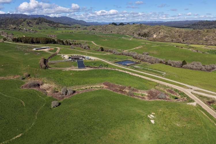 283 Minginui Road Galatea_0
