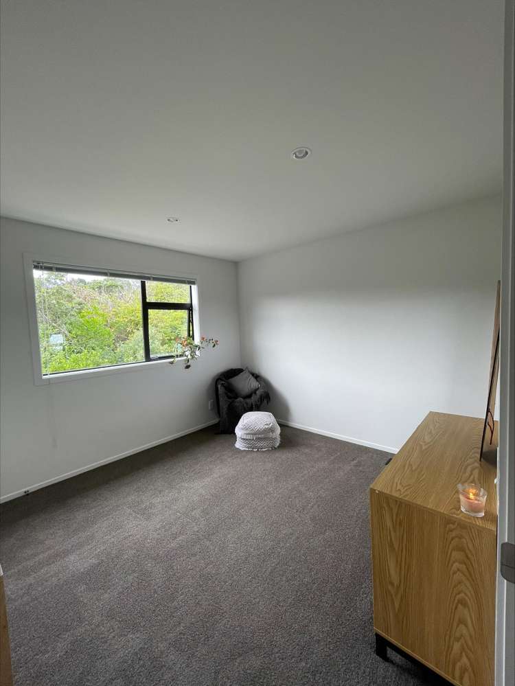 43d Dominion Park Street Johnsonville_7